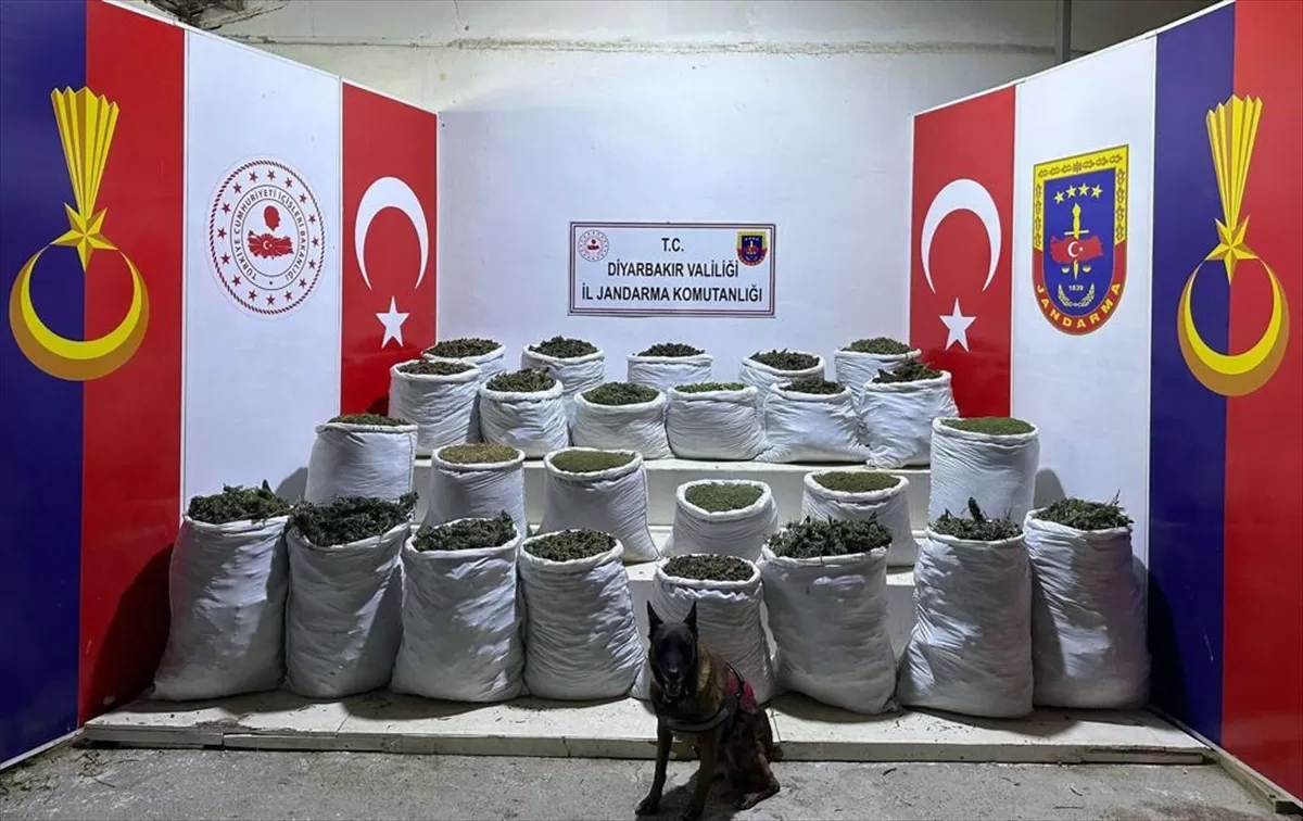 Diyarbakır'da uyuşturucu operasyonunda 603 kilogram esrar ele geçirildi