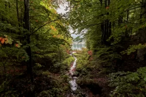 KÜTAHYA (AA) – Kütahya ile Bursa sınırları içinde kalan Domaniç