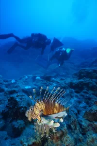 ANTALYA (AA) – AYŞE YILDIZ – Dünyanın "bilinen en eski