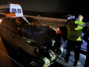 DÜZCE (AA) – Düzce'nin Gölyaka ilçesinde otomobilin çarptığı 3 başıboş