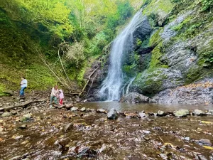 DÜZCE (AA) – Düzce'de bünyesinde şelaleler de barındıran tabiat parklarına