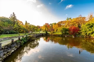 İSTANBUL (AA) – Enuygun, en güzel sonbahar karelerinin çekileceği rotalarını