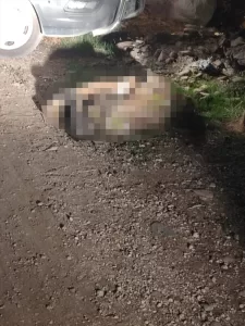 - Gözaltına alınan şüphelinin cinayet itirafı üzerine yapılan aramada, kadının