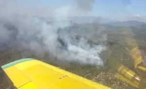 İZMİR (AA) – İzmir'in Bayındır ilçesinde ormanlık alanda çıkan yangın