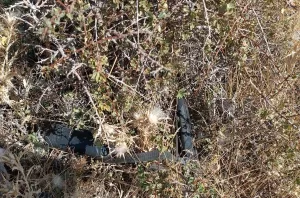 KAHRAMANMARAŞ (AA) – Kahramanmaraş’ın Elbistan ilçesinde cinayet zanlısı yakalandı. İl