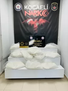 KOCAELİ (AA) – Anadolu Otoyolu'nun Kocaeli kesiminde durdurulan tırda 775