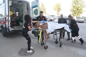 KONYA (AA) – Konya'nın Beyşehir ilçesinde ceviz ağacından düşen kişi