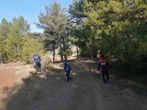 KÜTAHYA (AA) – Kütahya'nın Tavşanlı ilçesinde mantar toplamak için gittiği