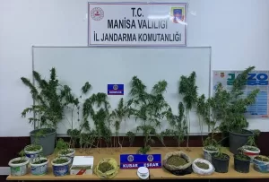MANİSA (AA) – Manisa İl Jandarma Komutanlığı ekiplerince 17 ilçede