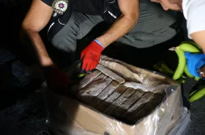 ANKARA (AA) – İçişleri Bakanı Ali Yerlikaya, Narkogüç operasyonları kapsamında