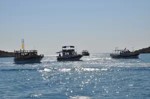 MERSİN (AA) – Mersin'de, Akkuyu Nükleer AŞ tarafından, Cumhuriyet'in 100.