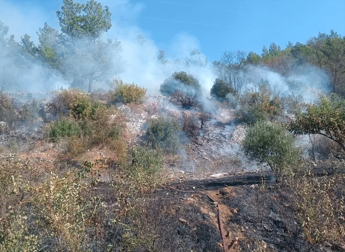 Muğla'da tarım alanında çıkan yangına müdahale ediliyor