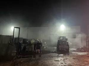 SAKARYA (AA) – Sakarya'nın Adapazarı ilçesinde geri dönüşüm tesisinde çıkan