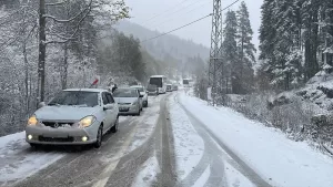 - Abant Gölü Milli Parkı'na ulaşımı sağlayan yol devrilen ağaç