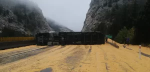 ADANA (AA) – Tahıl yüklü tırın devrilmesi sonucu Tarsus-Ankara Otoyolu'nun