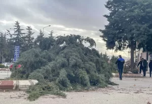 AMASYA (AA) – Amasya'nın Merzifon ve Suluova ilçelerinde şiddetli rüzgar