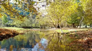 KAHRAMANMRAAŞ (AA) – Kahramanmaraş'ın Andırın ilçesindeki yaylalar, sonbaharın renklerini yansıtıyor.