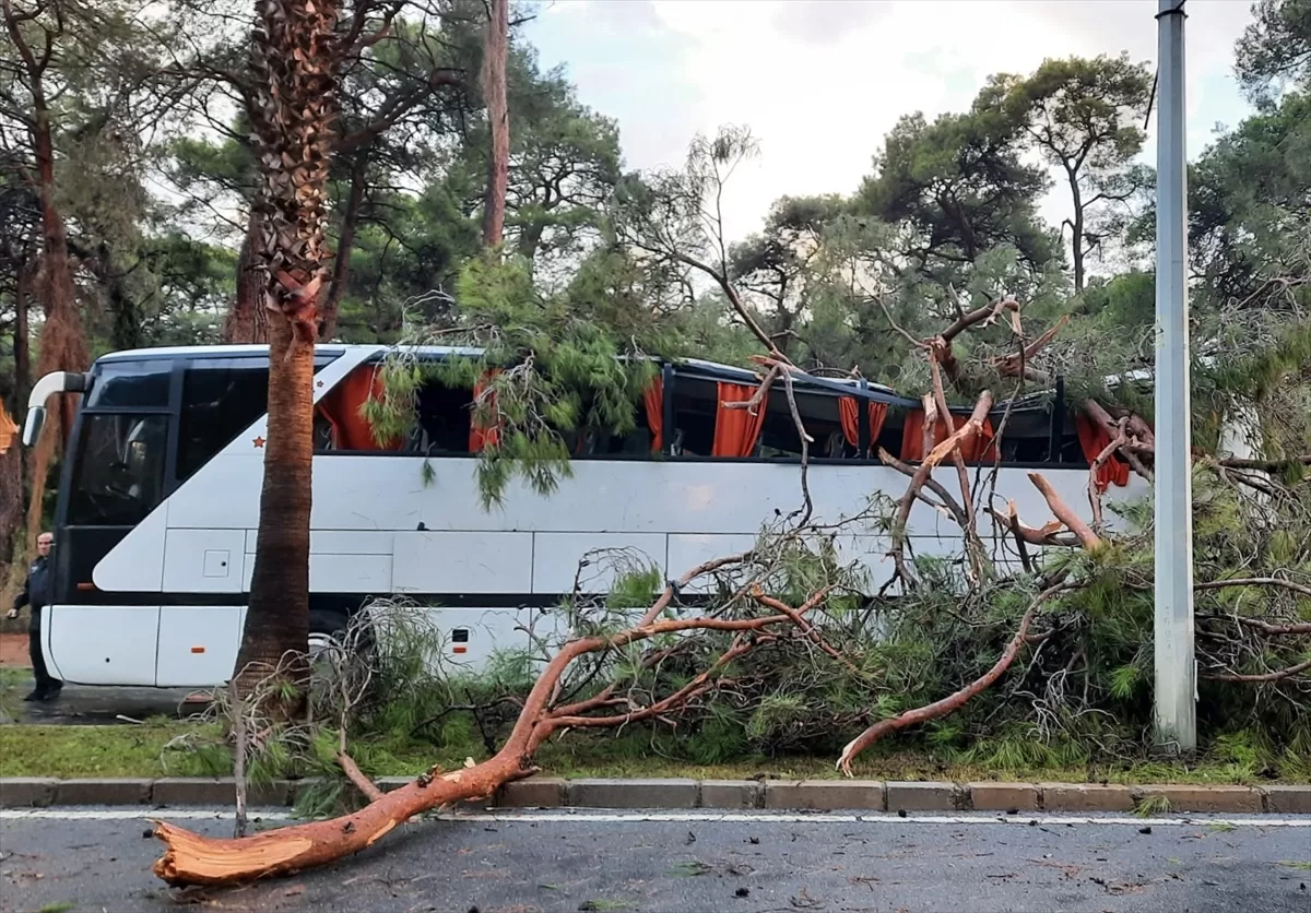 Antalya'da servis otobüsünün üstüne ağaç devrildi 7 kişi yaralandı