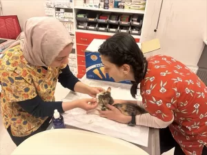 NEVŞEHİR (AA) – Nevşehir'in Avanos ilçesinde gezinti yapan yabancı bir