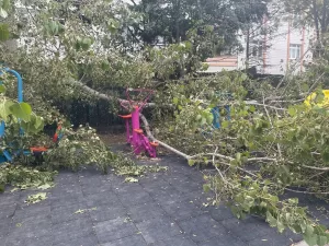 İSTANBUL (AA) – Avcılar'da parkta oynadıkları sırada üzerlerine ağaç devrilen