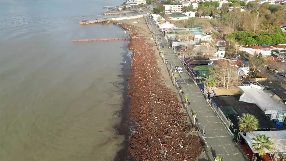 Balıkesir'de sağanak sonrası sahilde oluşan birikinti havadan görüntülendi