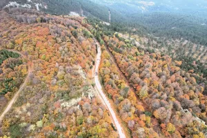 BALIKESİR (AA) – Balıkesir'in Sındırgı ilçesindeki 1764 rakımlı Ulus Dağı'nda