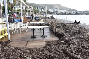 MUĞLA (AA) – Muğla'nın Bodrum ilçesinde, sahil kesimindeki esnaf, kuvvetli