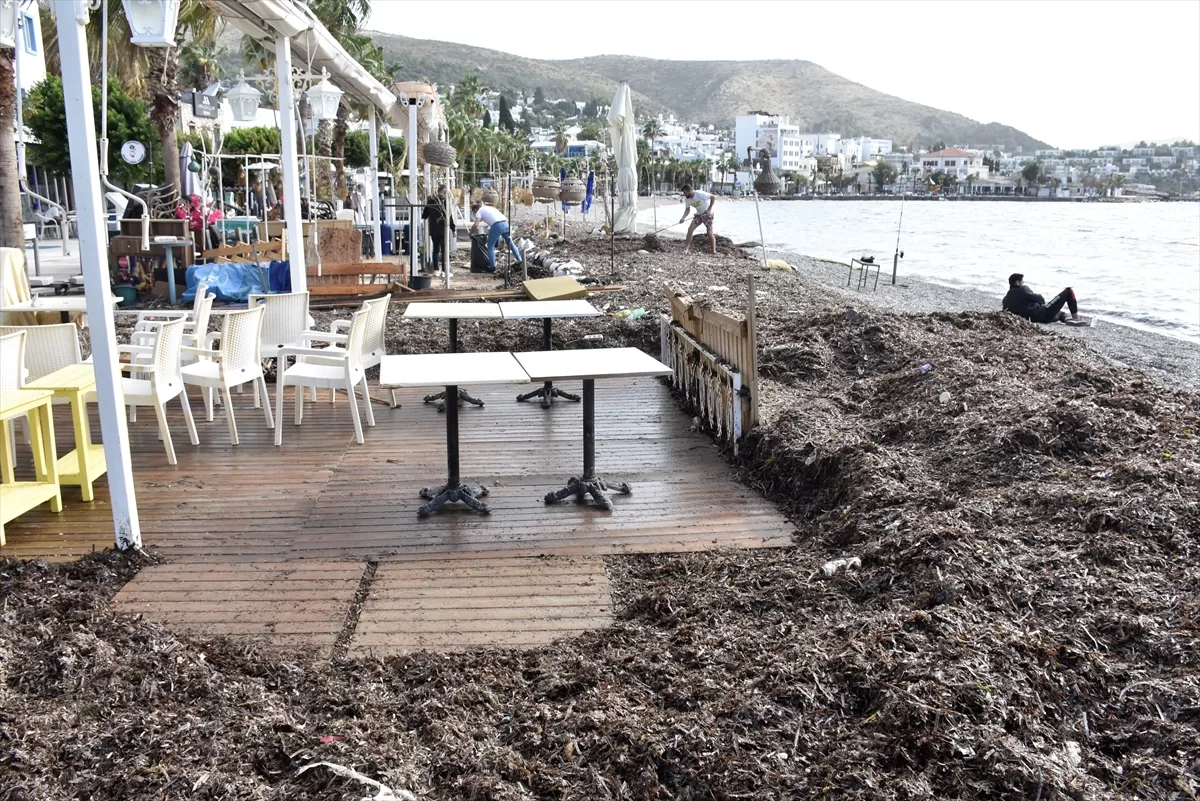 Bodrum'da kuvvetli rüzgarın ardından sahilde temizlik çalışması yapıldı