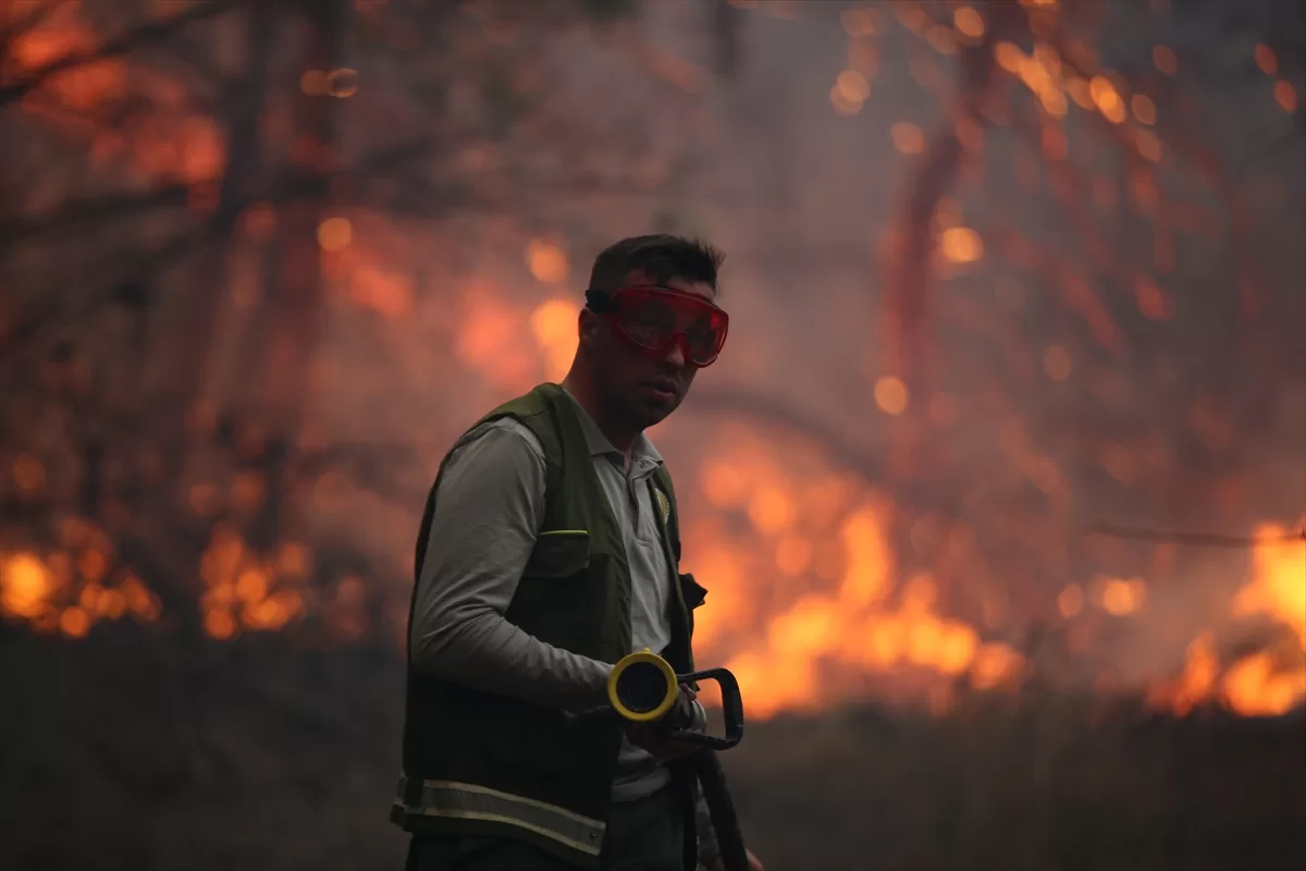 GÜNCELLEME – Çanakkale'de çıkan orman yangınına müdahale ediliyor