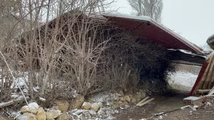 ÇANKIRI (AA) – Çankırı'nın Çerkeş ilçesinde etkili olan şiddetli rüzgar