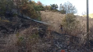 ÇORUM (AA) – Çorum’un Oğuzlar ilçesinde çıkan yangında 10 dekar