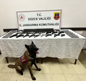 DÜZCE (AA) – Düzce'de silah kaçakçılığı operasyonunda 3 şüpheli gözaltına