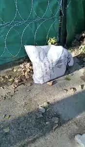 - "Gofret" ismi verilen köpek yavrusunu hayvansever aile sahiplendi