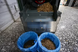 GAZİANTEP (AA) – Gaziantep Büyükşehir Belediyesi Hayvan Barınağı ve Rehabilitasyon