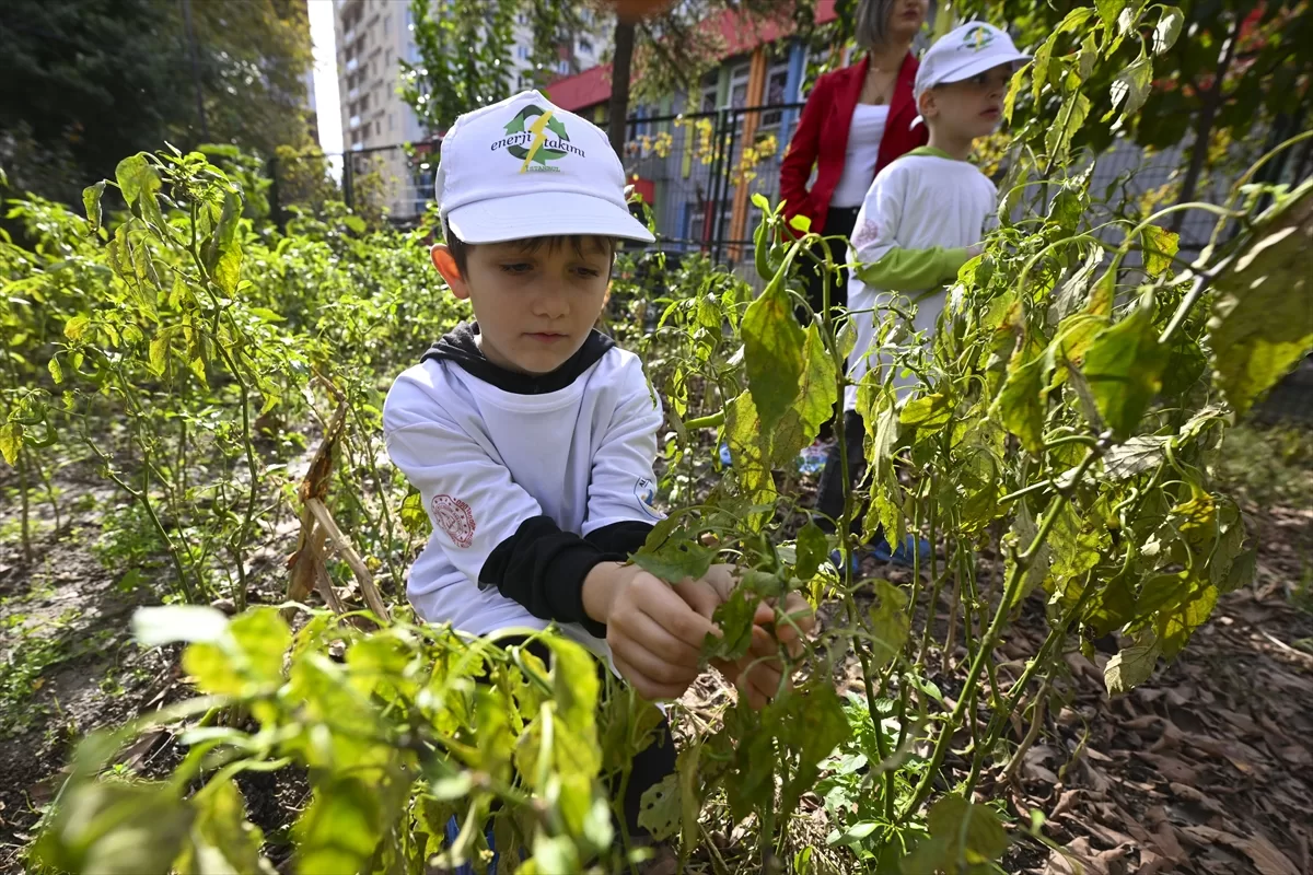 “Genç öğretmen” yarının büyüklerine çevre bilinci aşılıyor