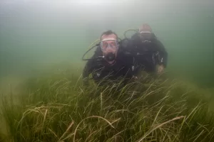 KOCAELİ (AA) – Kocaeli'nin Karamürsel ilçesi açıklarında İzmit Körfezi'nin derinliklerinde