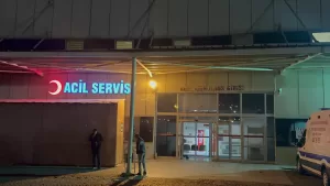 KARS (AA) – Kars'ın Kağızman ilçesinde ceviz ağacından düşen muhtar