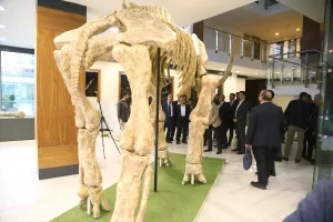 KAYSERİ (AA) – Kayseri'nin Kocasinan ilçesindeki Yamula Barajı çevresinde süren