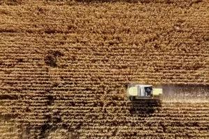 KONYA (AA) – ABDULLAH DOĞAN – Ziraat Mühendisleri Odası Konya