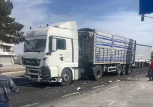 KONYA (AA) – Konya'nın Karapınar ilçesinde kamyonun kırmızı ışıkta bekleyen