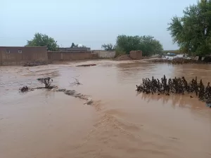 MARDİN (AA) – Mardin'de 2 gündür etkili olan sağanak, hayatı