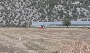 MUĞLA (AA) – Muğla'nın Milas ilçesinde bir kişi, çift sürmek