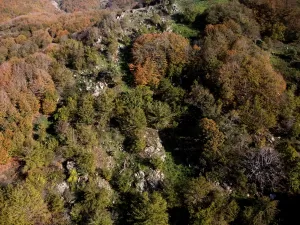 OSMANİYE (AA) – Osmaniye'nin Düziçi ilçesindeki Dumanlı Yaylası'nda sonbahar renkleri