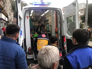 RİZE (AA) – Rize'nin Pazar ilçesinde sahipsiz köpeklerin bir çocuğu