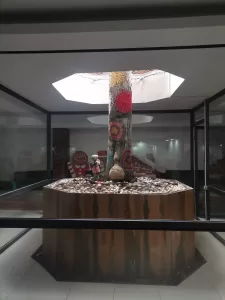 - Minik öğrenciler ormandan topladıkları meşe palamutlarıyla, kökü okul binasının