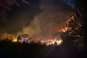 SİNOP (AA) – Sinop'un Türkeli ilçesinde çıkan yangında 2 ev