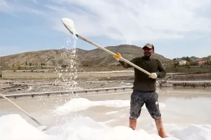 SİVAS (AA) – HALİFE YALÇINKAYA – Sivas'ın Zara ilçesine bağlı