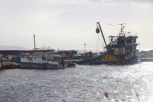TEKİRDAĞ (AA) – Marmara Denizi'nde sabah saatlerinde başlayan lodos, Tekirdağ'da