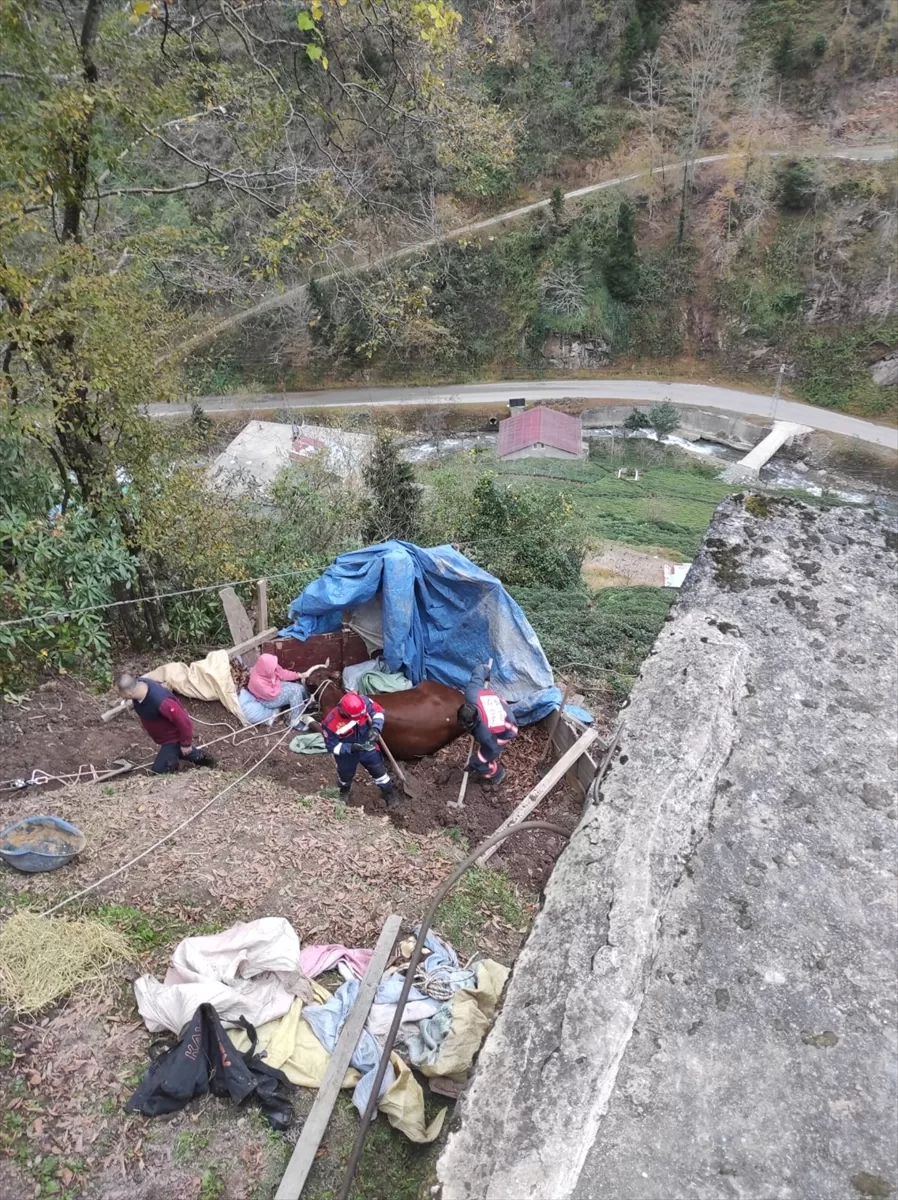 Trabzon'da yamaçtan yuvarlanan inek itfaiye ekiplerince kurtarıldı