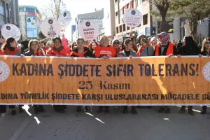 VAN (AA) – Van'da "Kadına Yönelik Şiddete Karşı Uluslararası Mücadele